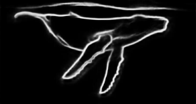 whale grasshopper 3d depth map artifficial inteligence